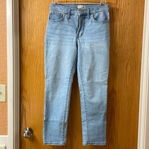 Madewell The Mid-Rise Perfect Vintage Jean